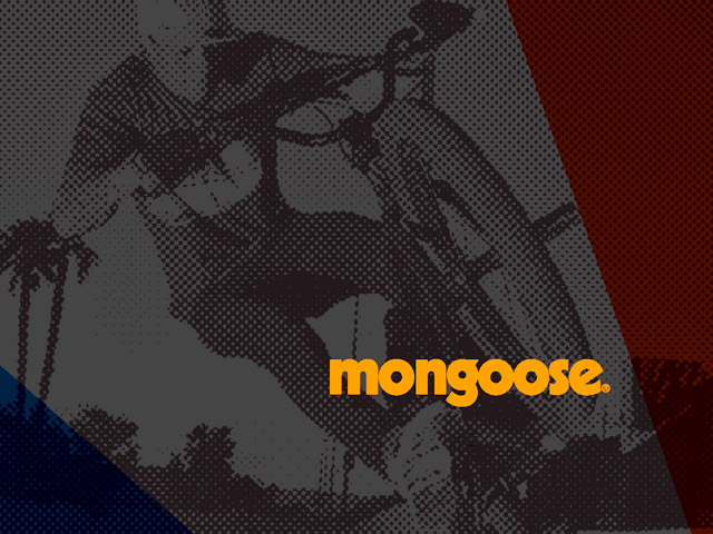 Mongoose Catalogs