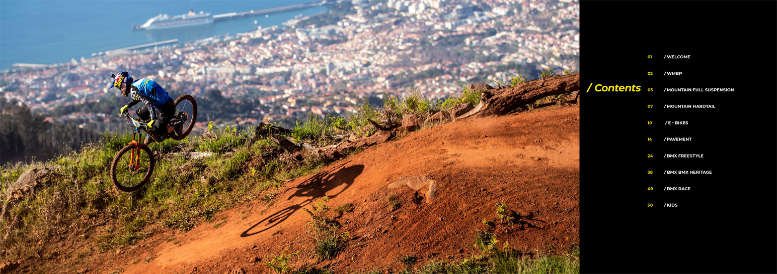 GT-bicycles-20-catalog3