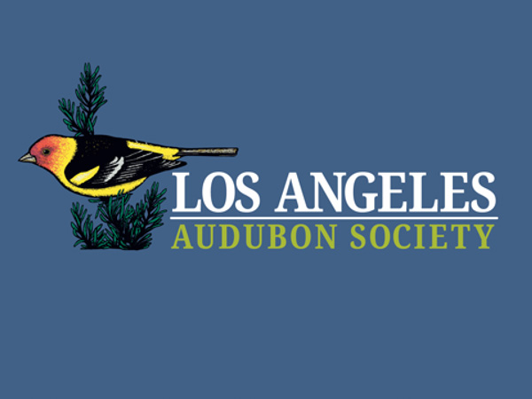 LA Audubon Brand Identity