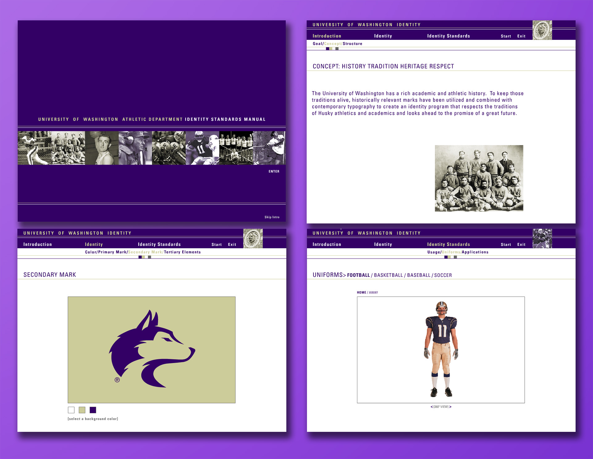 washington-huskies-identity